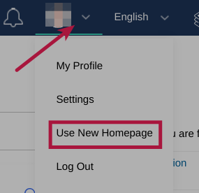 Homepage Switcher