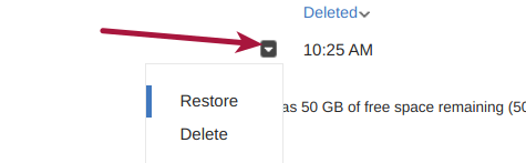 Restore / Delete